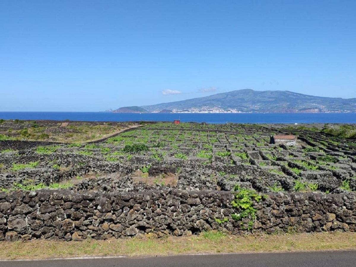 Casa Da Ilha Villa Мадалена Екстериор снимка